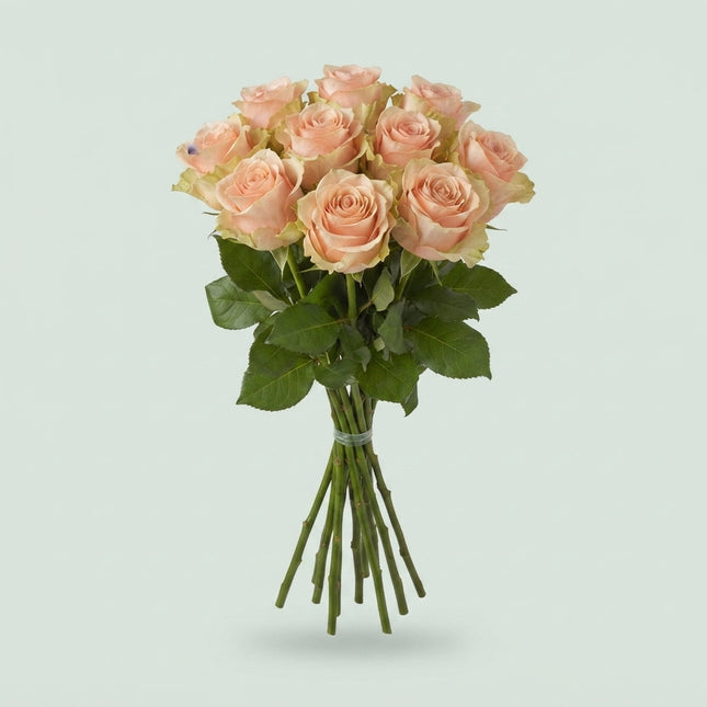 Rose Pearl Avalanche