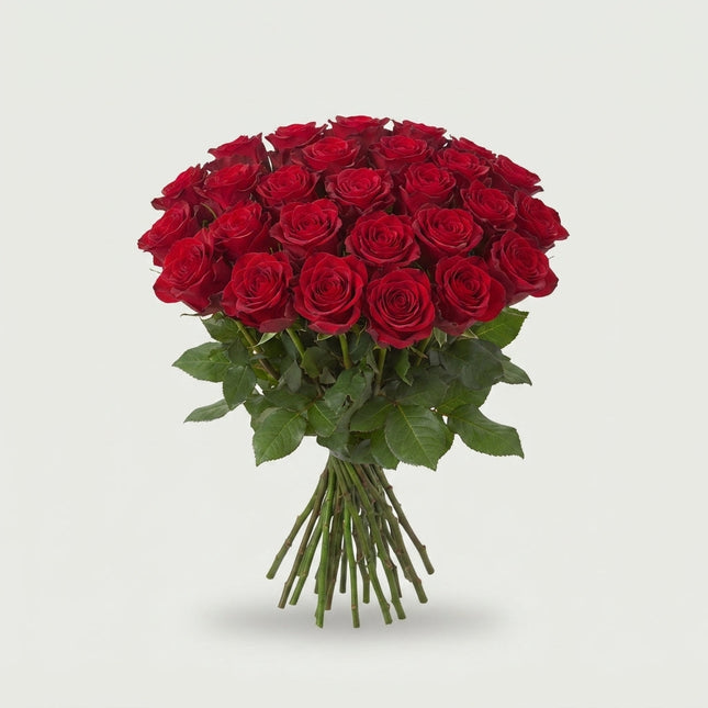 Rose Ever Red (20 Stems)