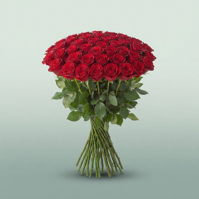Rose Frost Tacazzi (20 Stems)