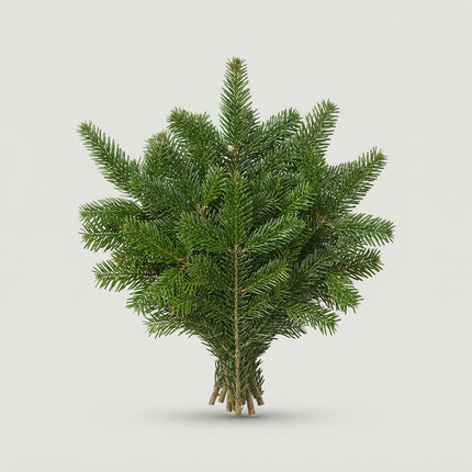 Nordmann Blue Spruce - Other Greenery Per Bunch