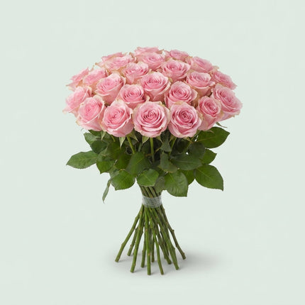 Rose - Rosa - Heaven