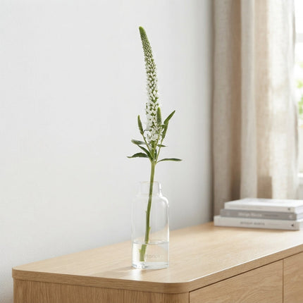 White Veronica ‘Allluna’ – 60cm Stems