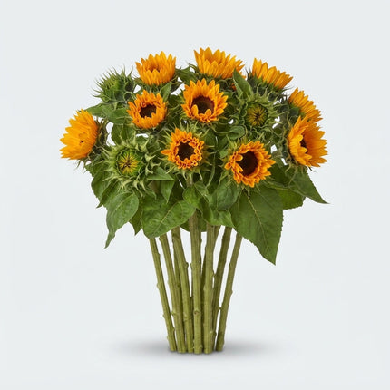 Sunrich Orange Sunflower Stems – 60cm