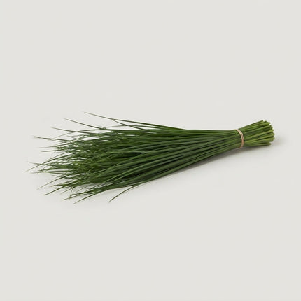 Beargrass - Beargrass per bos