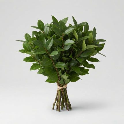 Salal Tip - Other Greenery Per Bunch