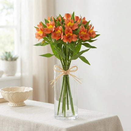 Alstroemeria Dancing Queen