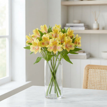 Alstroemeria Bali