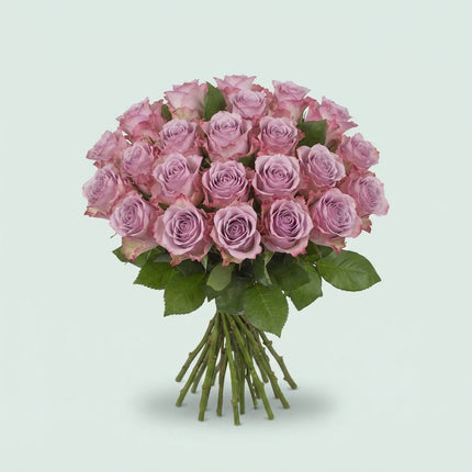 Rose - Rosa - Memory Lane