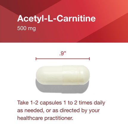 Protocol Acetyl-L-Carnitine 500mg – Energy, Nerve & Brain Support – 100 Veg Caps