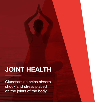 Protocol Glucosamine & Chondroitin with MSM - Joint Support* - 90 Veg Caps - Non-GMO & Dairy Free