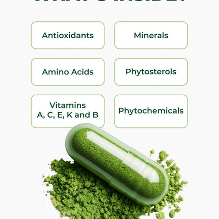 PURA VIDA MORINGA Capsules — Single Origin Organic Moringa Powder, 120 Count (500 mg) — Pack of 2