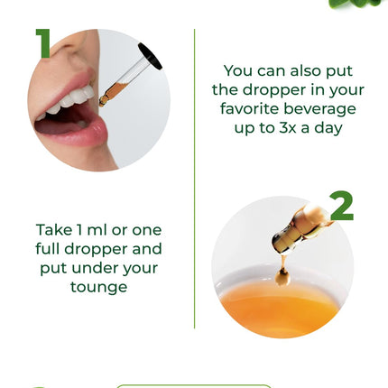 PURA VIDA Moringa Liquid Drops - USDA Organic, Bioavailable Extract
