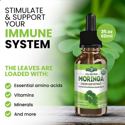 PURA VIDA Moringa Liquid Drops - USDA Organic, Bioavailable Extract