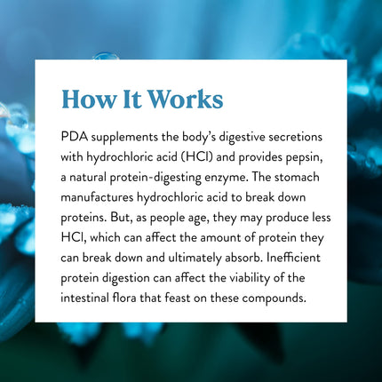 Nature's Sunshine PDA Combination 180 Caps - HCl & Pepsin Digestive Support