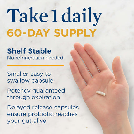 Renew Life Everyday Probiotic Capsules – 15 Billion CFU, 60 Count | Digestive, Immune & Urinary Support