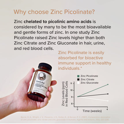 Potent & Pure Magnesium & Zinc Complex by Rootcha | Fully Reacted Magnesium with Chelated Zinc Picolinate | 120 Capsules