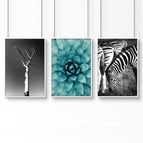 White Frame / A4 8.27 x 11.69 in / 21 x 29.7 cm / Satin Photo Paper 280 gsm