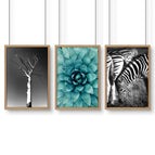 Oak Frame / A4 8.27 x 11.69 in / 21 x 29.7 cm / Satin Photo Paper 280 gsm