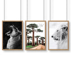 Oak Frame / A4 8.27 x 11.69 in / 21 x 29.7 cm / Satin Photo Paper 280 gsm