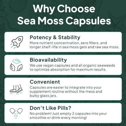 Organics Ocean Wild Sea Moss Capsules – 60 Capsules | Organic Irish Sea Moss, Bladderwrack, Chlorella & Vitamin D3