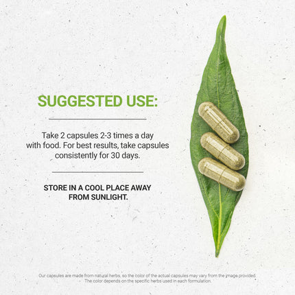 Secrets of the Tribe Eucalyptus – 120 Capsules, 800 mg | Eucalyptus Globulus Dried Leaf
