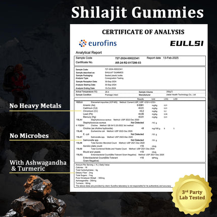 Pure Himalayan Shilajit Gummies with Ashwagandha – 120 Count