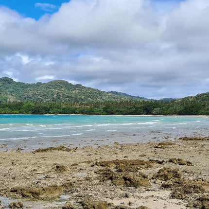 Solomon Islands Ceremonial Cacao