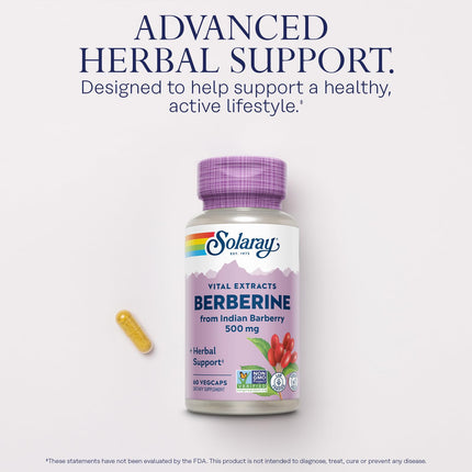 SOLARAY Berberine 500mg – Berberine Supplement for a Healthy, Active Lifestyle | 60 Servings, Vegan & Non-GMO
