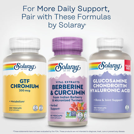 SOLARAY Berberine & Curcumin – 60 Servings, Vegan & Gluten Free