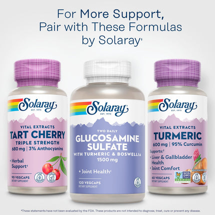 SOLARAY Turmeric 600mg – 95% Curcuminoids | Joint & Liver Support