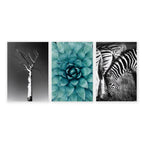 Canvas wrapped / 20 x 30 in / 50 x 76 cm / Polyester Canvas 260 gsm