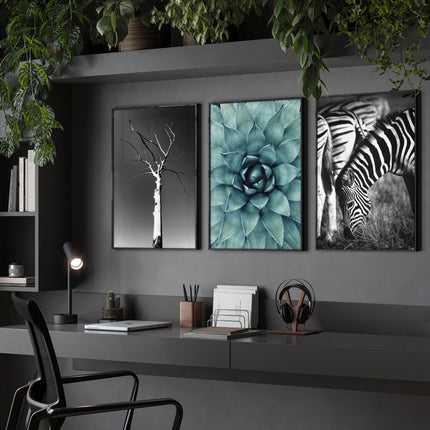Soothing Wall Art | Set of 3 African Wildlife Wall art Prints