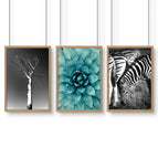 Oak Frame / A4 8.27 x 11.69 in / 21 x 29.7 cm / Satin Photo Paper 280 gsm