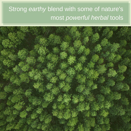 SpeedyVite® Blood Lifeboost Tea - Supports Waste Removal from Bloodstream*