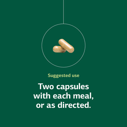 Standard Process Emphaplex | Respiratory Support & Cellular Energy – 90 Capsules (45 Servings)