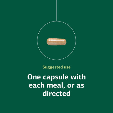 Standard Process Orchex - Whole-Food Nervous System Support, Mental Clarity & Stress Adaptability | 90 Capsules