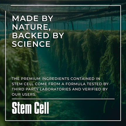 Premium Stem Cell Supplements 1,000mg (240 Caps) – Boost Immunity, Reduce Joint Soreness, Anti-Aging & Longevity with Spirulina & Chlorella