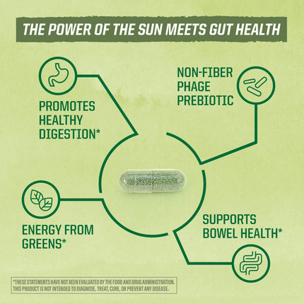 Sunwarrior Probiotics Soil-based Vegan Capsules | 10 billion CFU for Digestion Soy Free Gluten Free Dairy Free | 30 CT