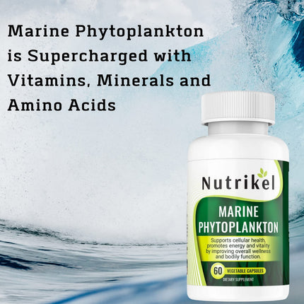 Marine Phytoplankton Omega-3 Supplement – Plant-Based Algae Capsules | 1,000mg | 60 Vegan Capsules