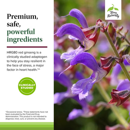 Terry Naturally Red Sage Plus with HRG80 Red Ginseng - Heart Health