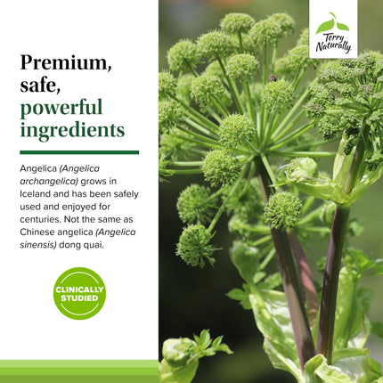 Terry Naturally SagePro Bladder: Bladder Support | Angelica Leaf Extract | Vegan 30 Capsules