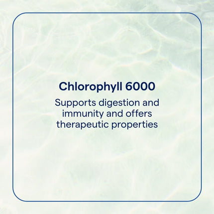 Trace Minerals Concentrated Ionic Chlorophyll - Liquid Chlorophyll Supplement for Cell Health, Digestive System & Energy Support - Immune Support - Gluten-Free - Vegan - Natural Mint 2 fl oz (120 Servings)