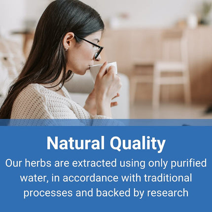 Treasure of the East: Bu Zhong Yi Qi Tang (Middle Qi Tonifying Decoction) 5:1 Extract Granules 100g