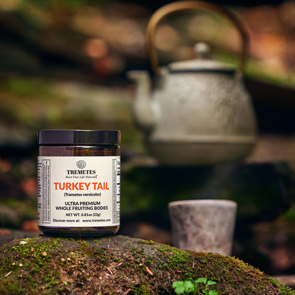 Turkey Tail Mushroom Fruiting Body – Lab-Verified 41.2% Beta-Glucans for Tea | Amber Glass Jar