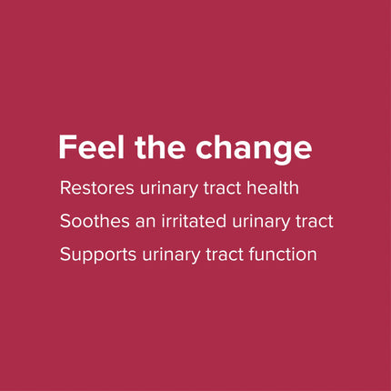 Vibrant Health U.T. Vibrance Powder – 10 Servings | Urinary Tract Health