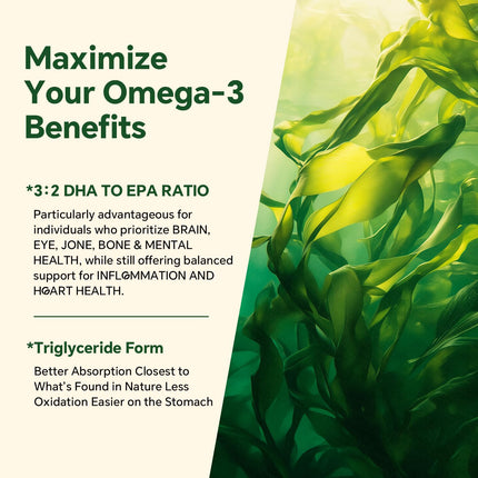 Vegan Omega 3 Gummies 1200mg - Dual Layer Algae DHA 600mg / EPA 400mg