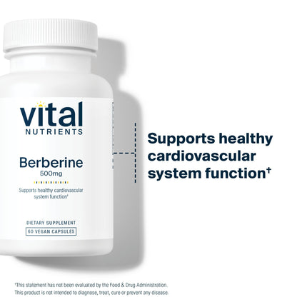 Vital Nutrients Berberine 500 mg Vegan Capsule — Supports Gut Function & Normal Triglyceride Levels | Gluten, Dairy & Soy Free | 60 Capsules