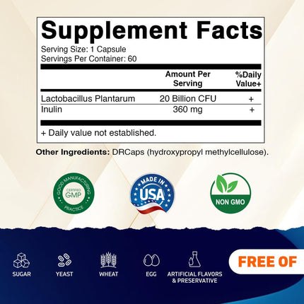 Vitamatic Lactobacillus Plantarum 20B CFU DR Capsule 60 Count Pack of 2