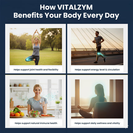 VITÄLZYM Proteolytic Systemic Enzymes Liquid Gel Capsules with Serrapeptase | Immune & Joint Support