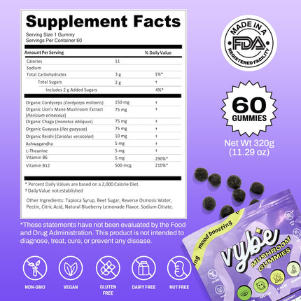 Vybe Daily Nootropic Gummies – 8-in-1 Brain Support (Blueberry)